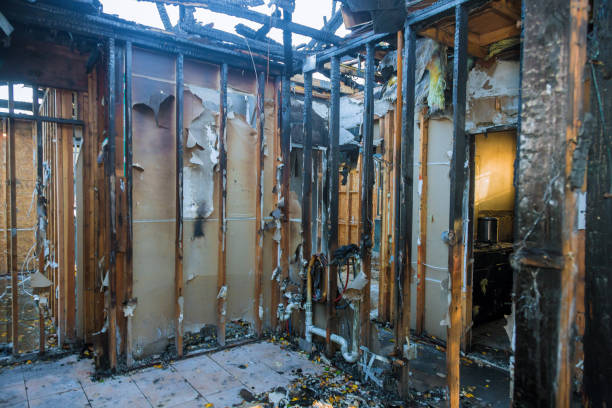 Professional Fire Damage Restoration technician working in Hamel, MN