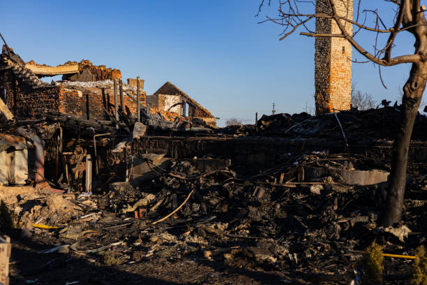 Reliable Fire Damage Restoration contractor in Hamel, MN by Fire Damage Doption